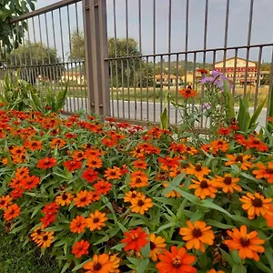 https://casa-da-gianni.hotelinveneto.com