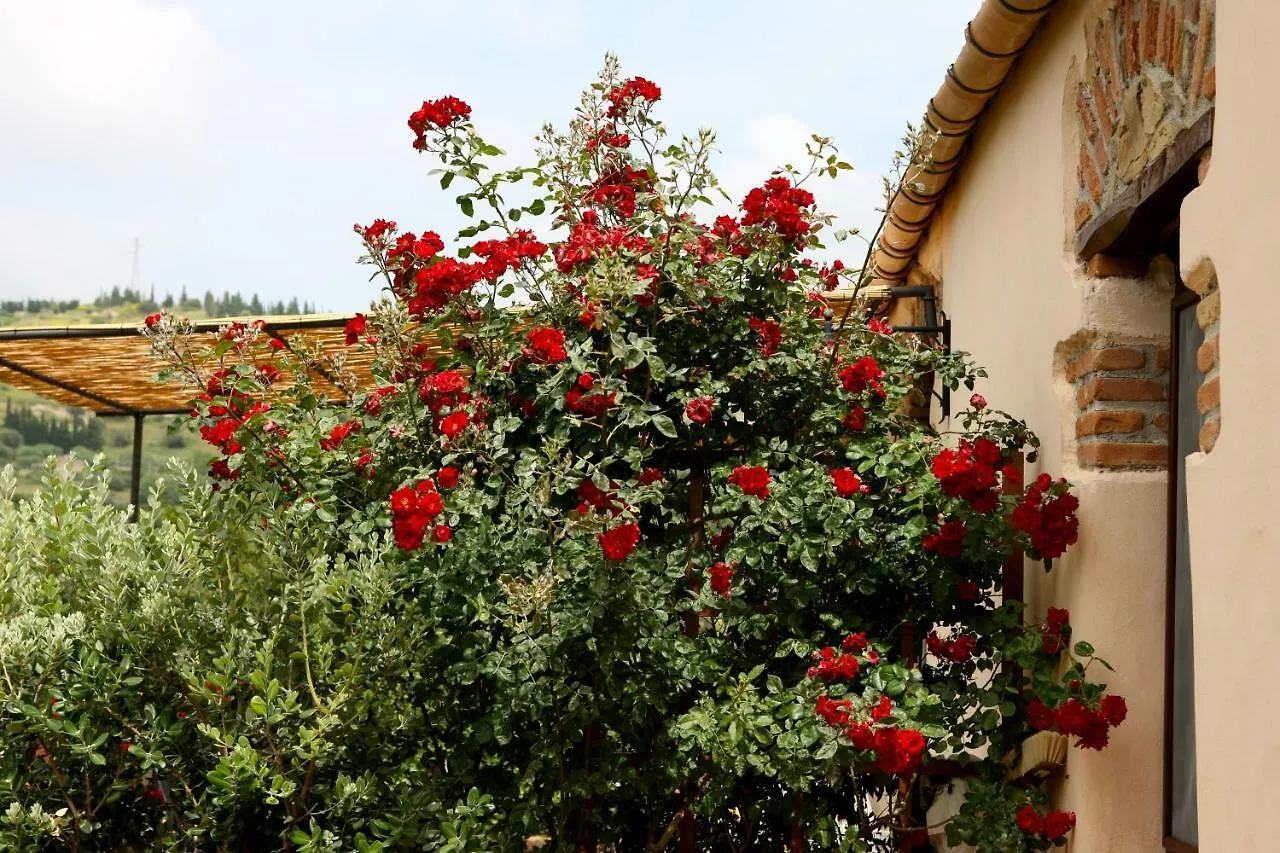Farm stay Poggio Pozzetti Villa Lascari